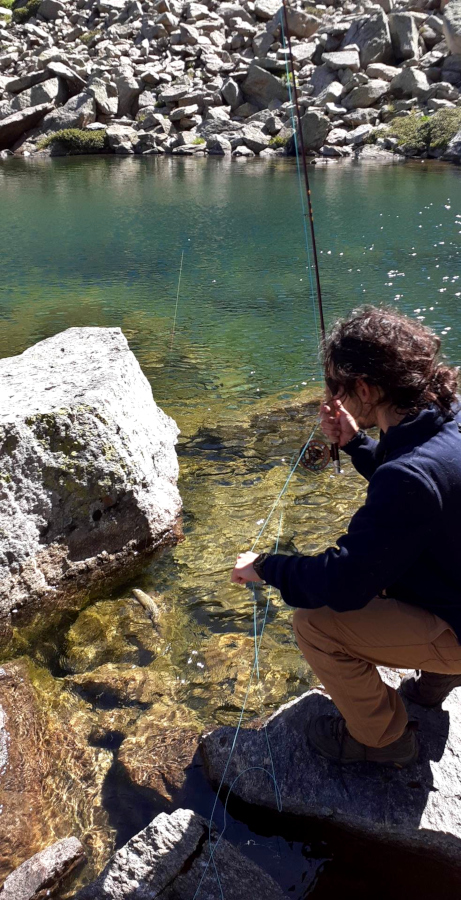 Pêche en sèche d'une truite fario en lac de montagne