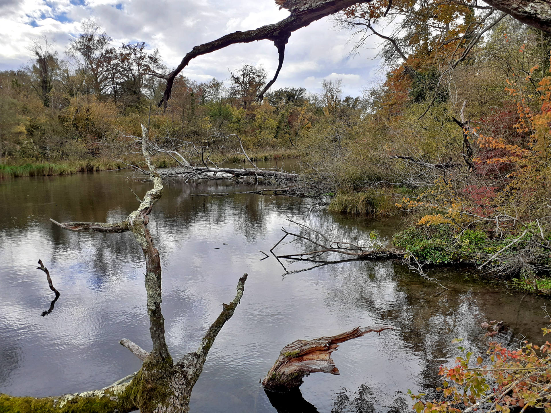 paysage rivière brochet automne pêche leurres