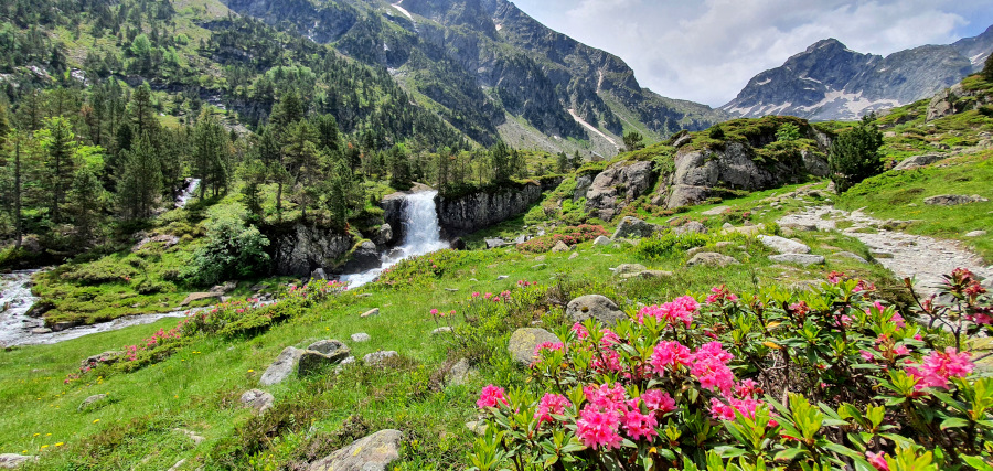 Cascade au milieu d'une vallée préservée des Pyrénées observée lors d'un séjour trekking pêche dans les Pyrénées